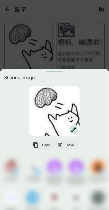 Rays 分享功能的入口